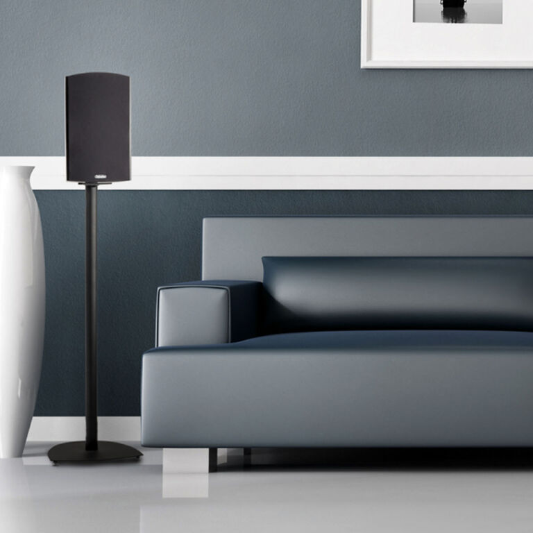 Stand and Mount Options