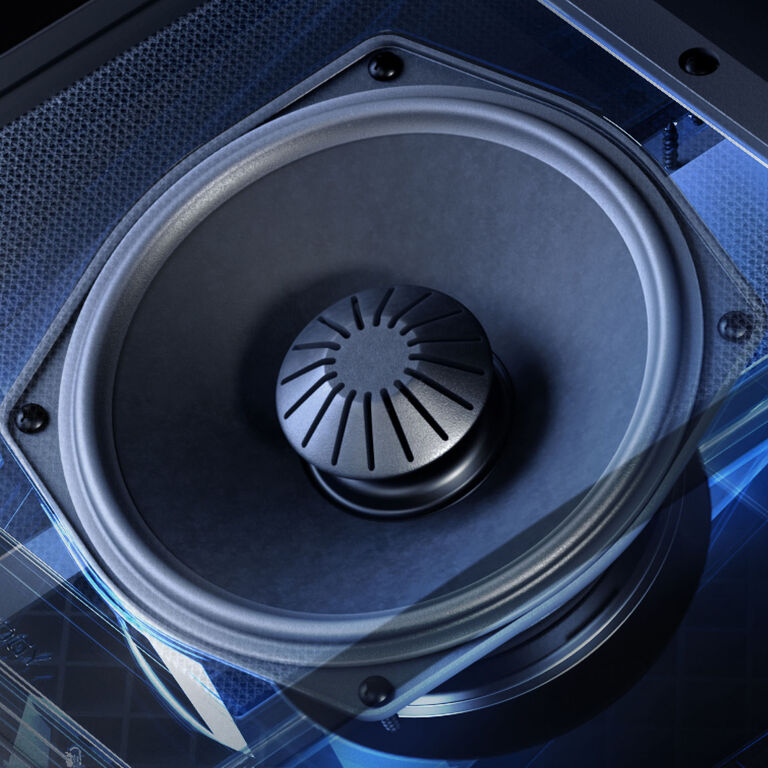 BDSS System and Linear Response Waveguide for smooth midrange and lifelike imaging