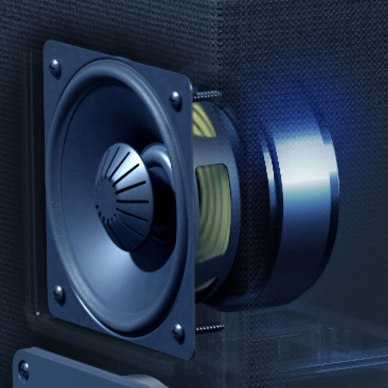 BDSS System and Linear Response Waveguide for smooth midrange and lifelike imaging