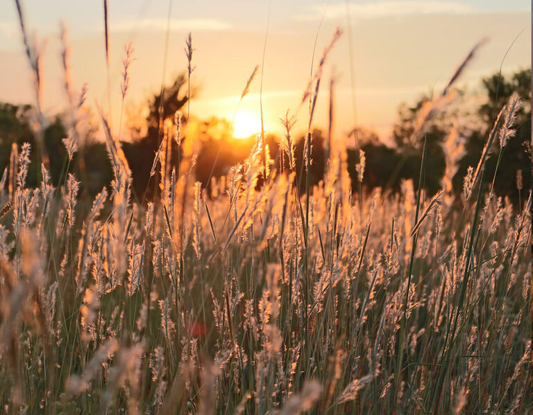 Natural, Impactful Sound