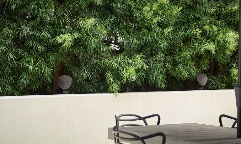 LS-400 installed in a raised garden, between bushes