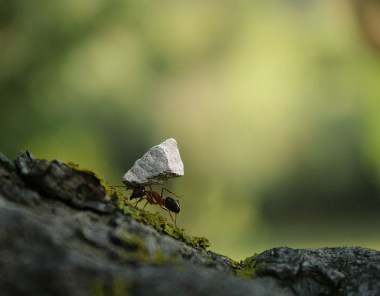 Compact Size, Full Surround Sound