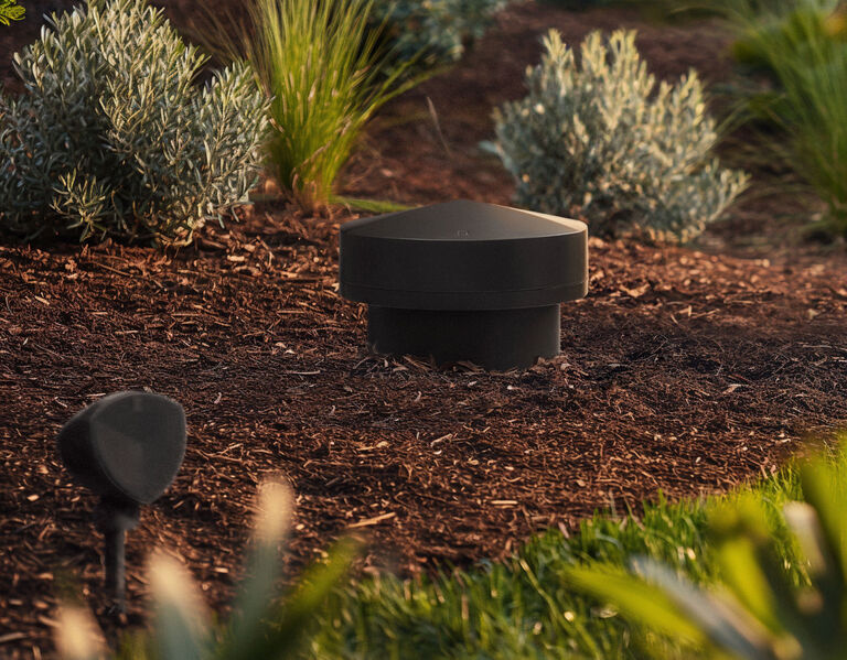 LS-80 and LS-400 placed in a garden bed.