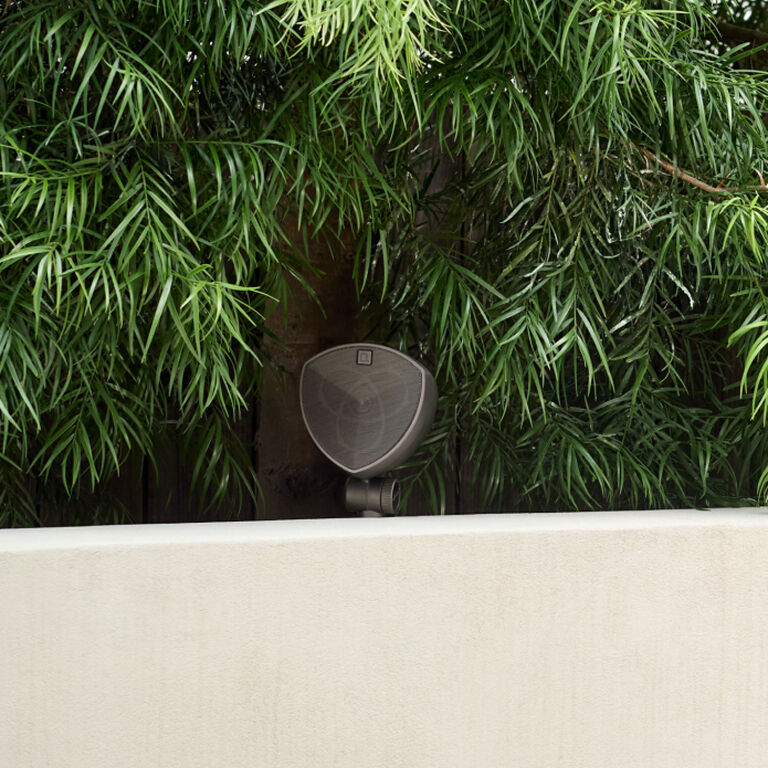 LS-400 sitting in a planter immersed in bushes