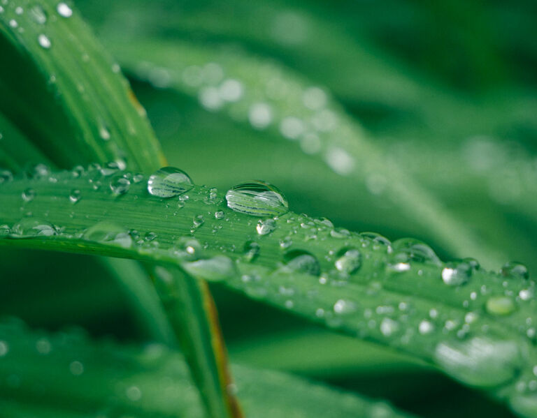 Center Channel Clarity