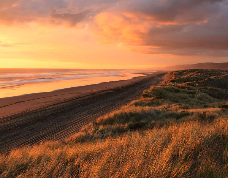 Every Seat&rsquo;s the Best Seat