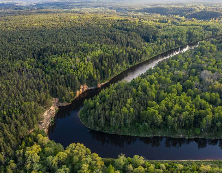 Customizable Coverage